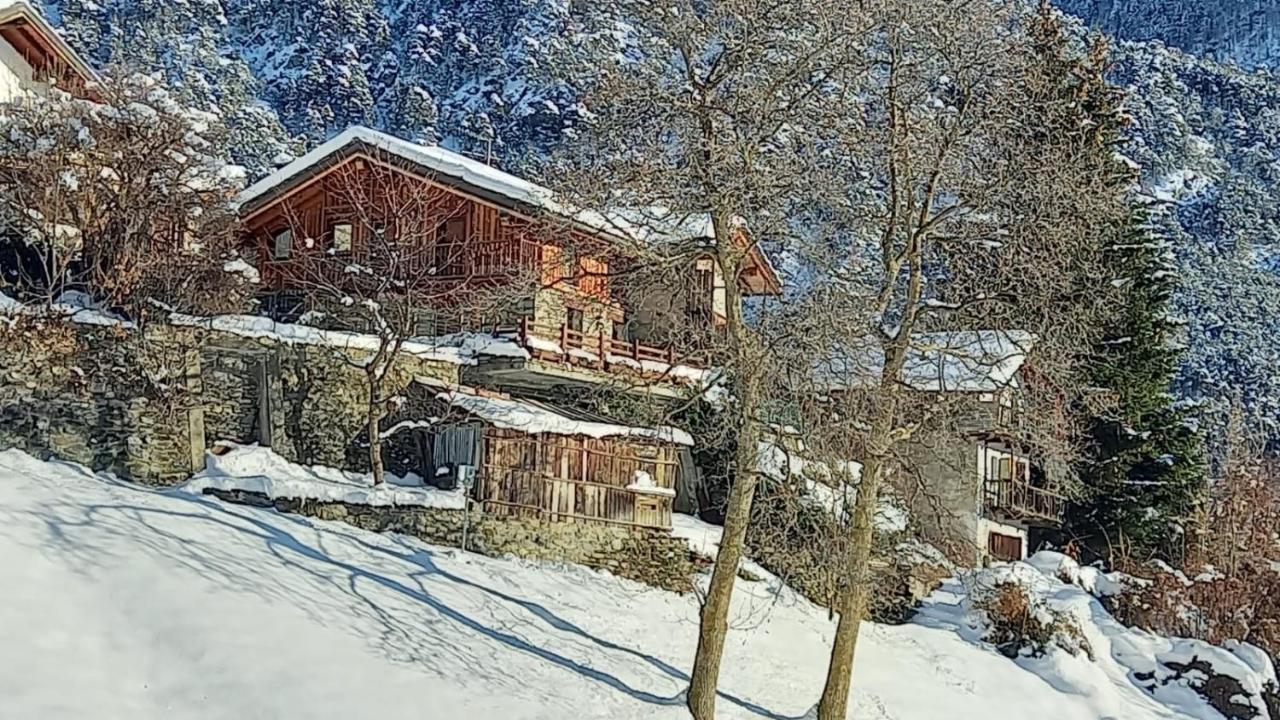 Eco Chalet Maison Dominique Challand-Saint-Anselme Zewnętrze zdjęcie